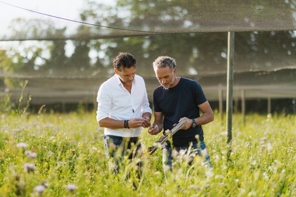 Des cosmétiques à la bave d’escargot : le pari d’une PME vendéenne
