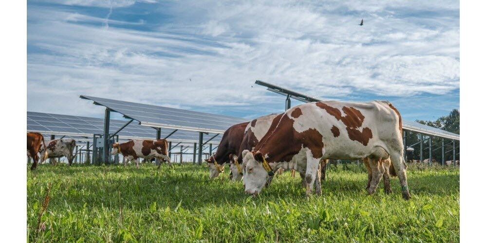 Agrivoltaïsme : la Région Normandie adopte une doctrine restrictive
