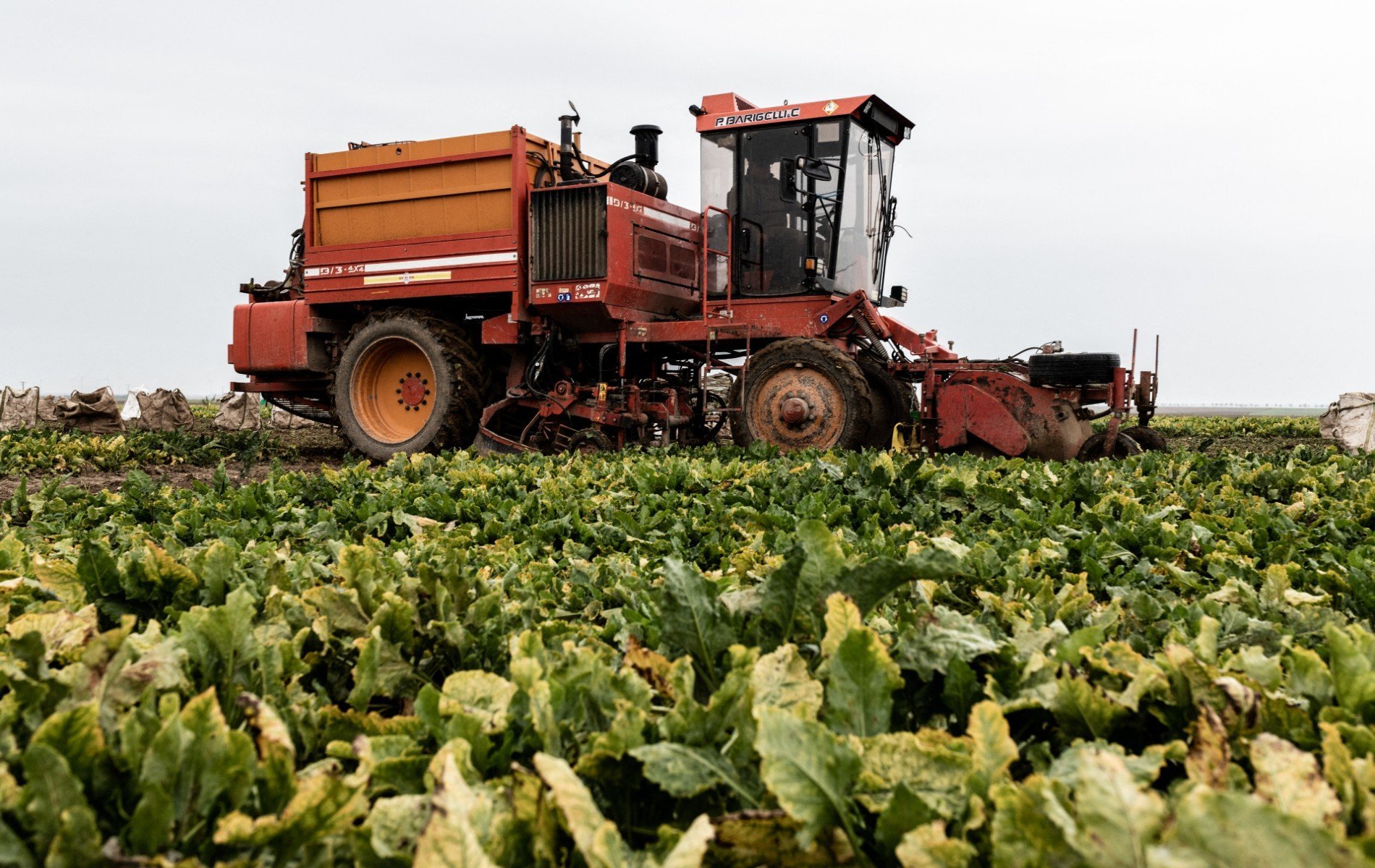 Rémunérer les agriculteurs pour leurs pratiques vertueuses, le pari gagnant d’Eau de Paris