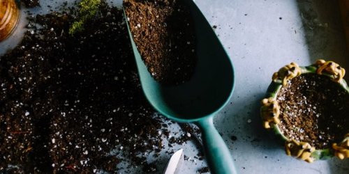 La stratégie des Alchimistes Provence pour mieux valoriser les biodéchets