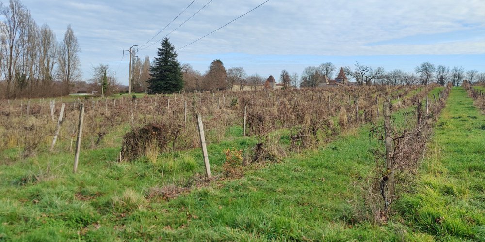 Crise viticole : un audit révèle l&rsquo;urgence de restructurer les caves coopératives