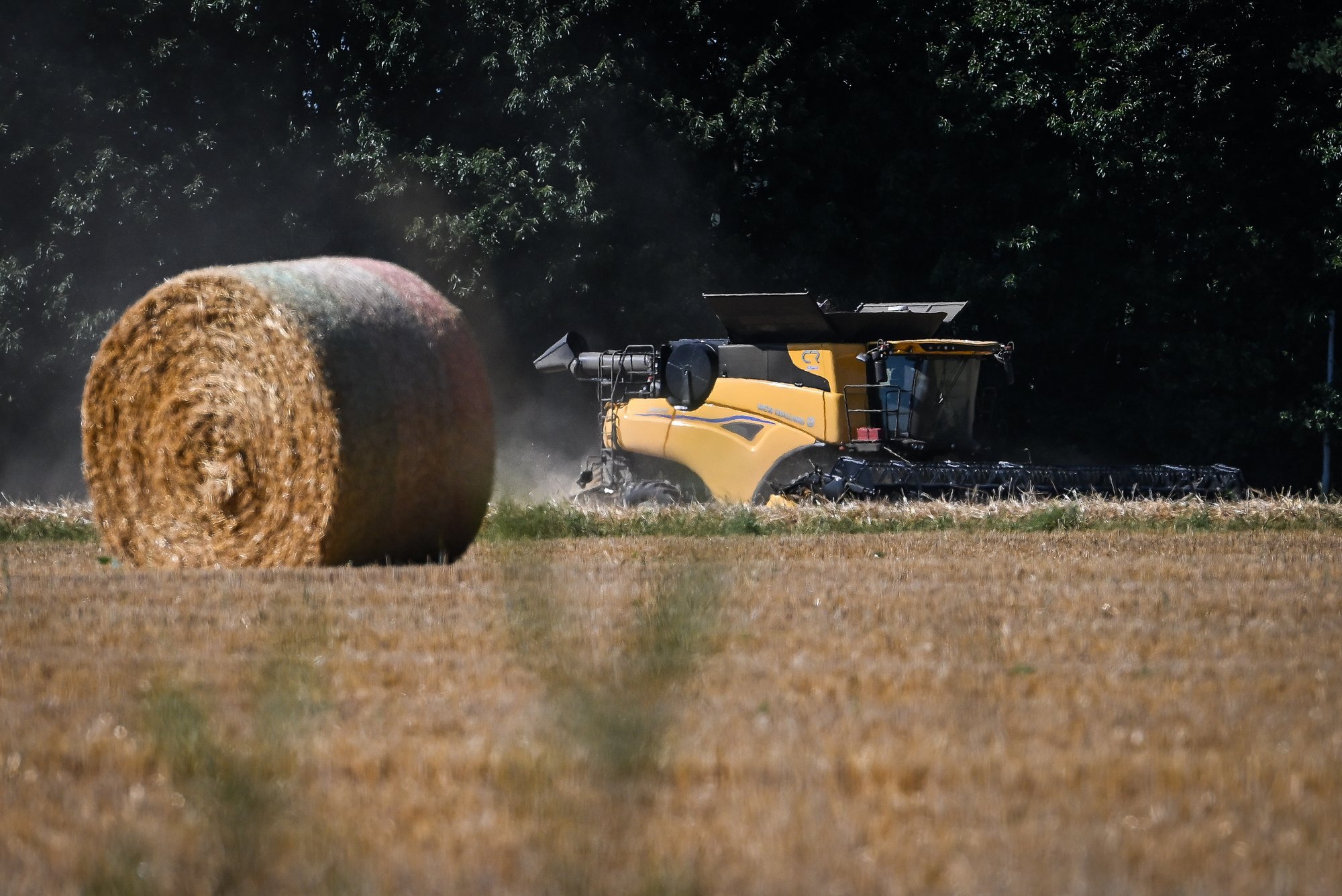 Céréales : la prochaine belle moisson ne compensera pas les pertes de l’année dernière