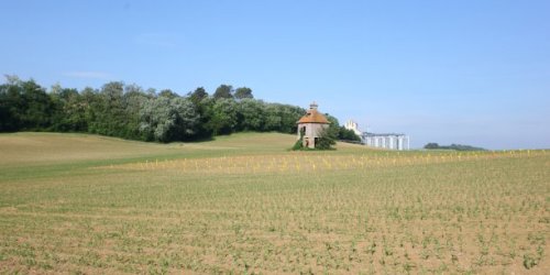 En Occitanie, les jeunes issus de milieu rural font des études plutôt courtes