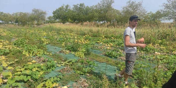 Agriculture : Lyon lance la première ferme métropolitaine en régie du territoire
