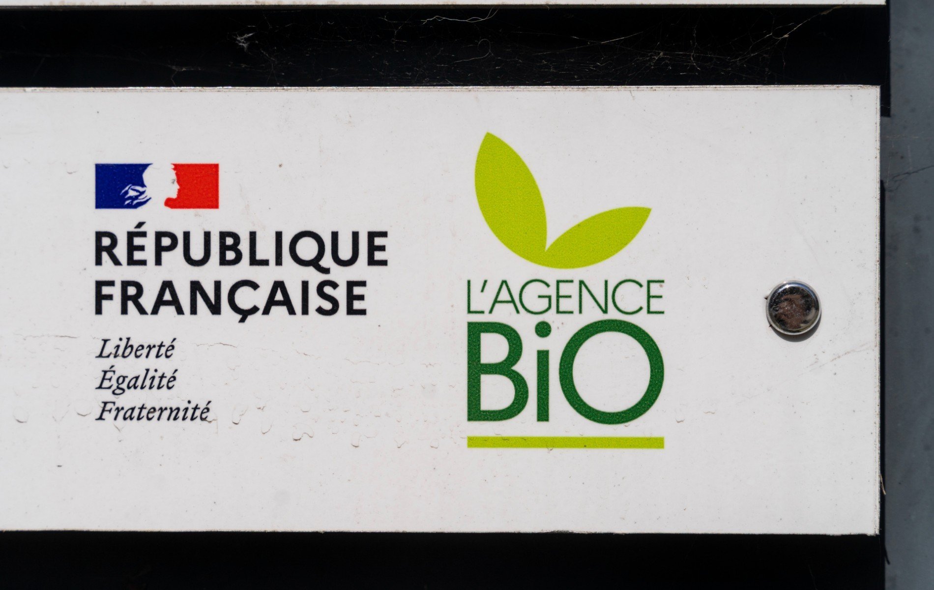 Coupe budgétaire : une « chute libre » pour l’Agence Bio plus que jamais menacée
