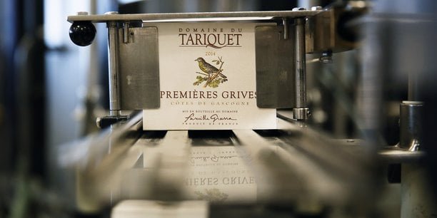 Tariquet, l’emblématique domaine viticole du sud ouest en grande difficulté