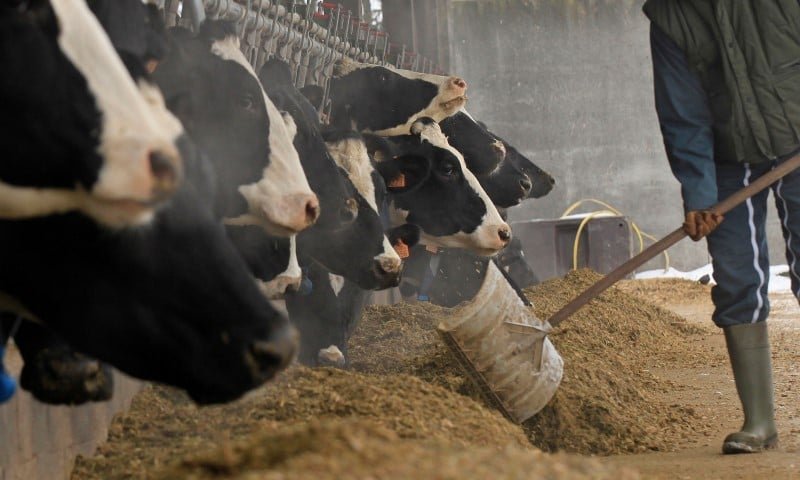 Financement : le Crédit Agricole débloque le premier fonds de développement en agriculture