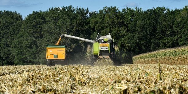 Face à l’instabilité, les coopératives agricoles à l’heure des fusions