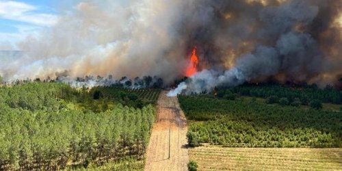 Feux de forêt : reprise très virulente de l'incendie de Landiras, près de 7.000 hectares brûlés