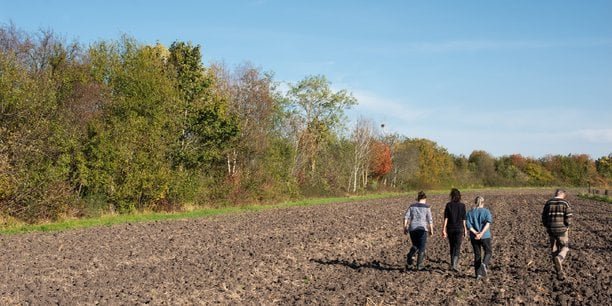 Adaptation climatique : en Auvergne, le retour en grâce des haies agricoles