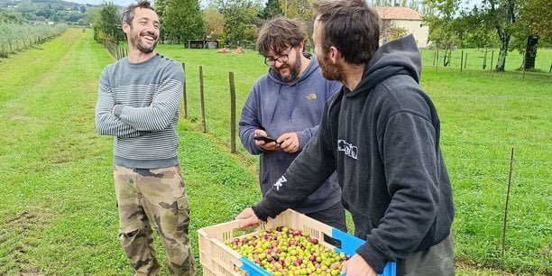 Vin sans alcool ou huile d’olive : les vignerons bordelais s’adaptent à la crise