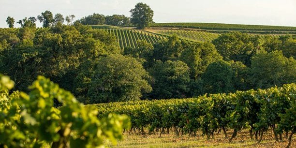 Le Gers ouvre un centre de désalcoolisation des vins