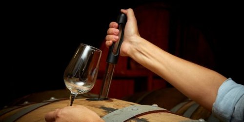 Un euro la bouteille : deux négociants condamnés pour non respect de la loi Egalim sur le prix du vin