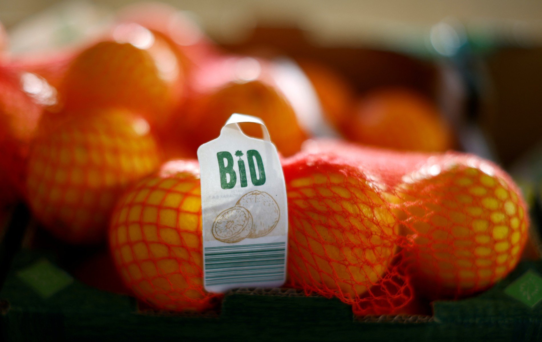 Colère et stupéfaction à l’Agence bio menacée de disparition