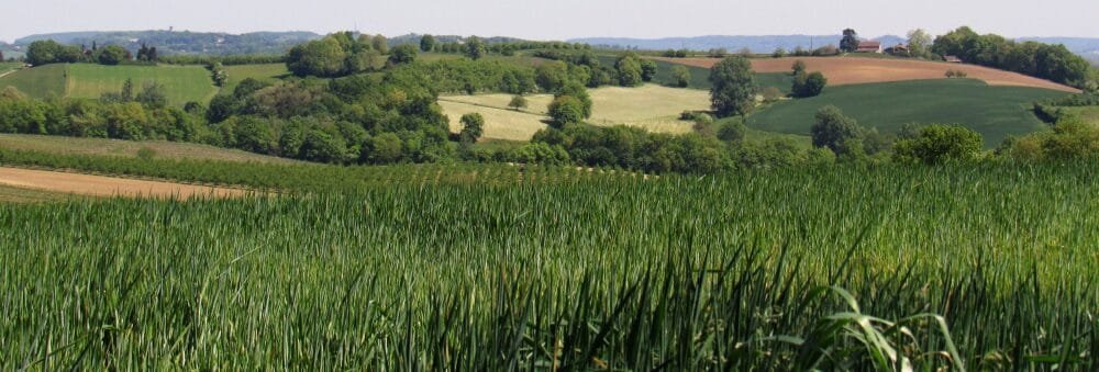 Au moins trois projets de fusions sont en cours parmi les grandes coopératives agricoles françaises. Dans un contexte de hausse des coûts et de production perturbée, l&rsquo;Autorité de la concurrence vient d&rsquo;accorder un premier feu vert.