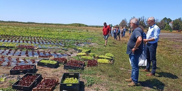 Agriculture : quand la régulation foncière fait cohabiter des modèles différents
