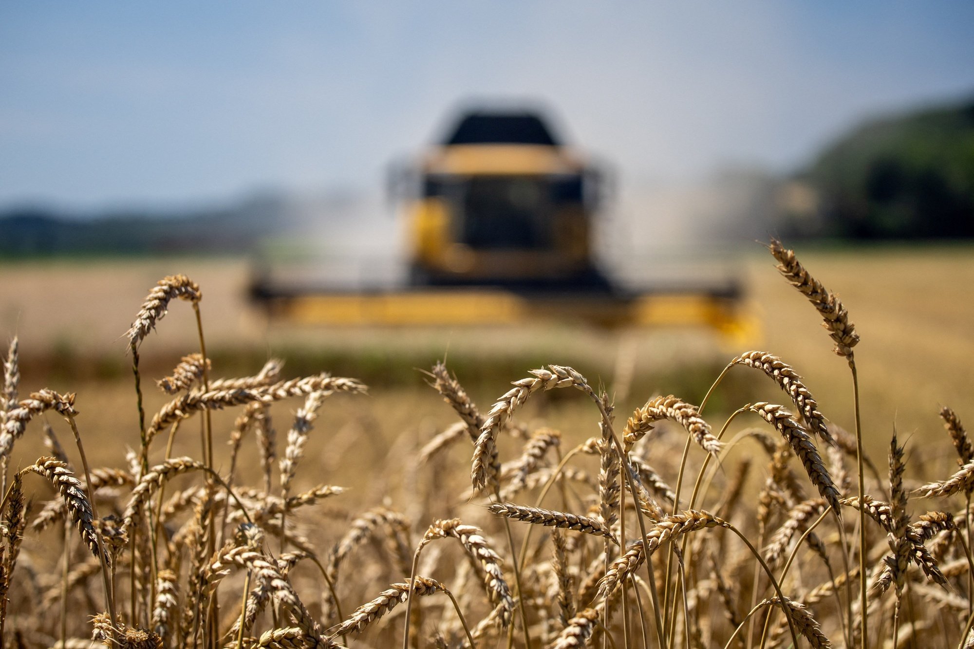 Changement climatique : s’adapter, la course contre la montre des agriculteurs