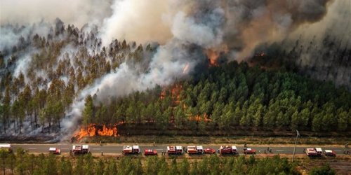 Feux de forêt : plus de 7.400 hectares brûlés par l'incendie de Landiras