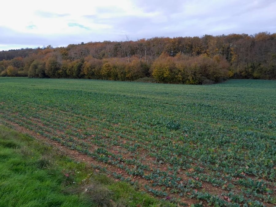 La bataille de l’eau fait rage dans la Vienne, entre agriculteurs irrigants et écologistes