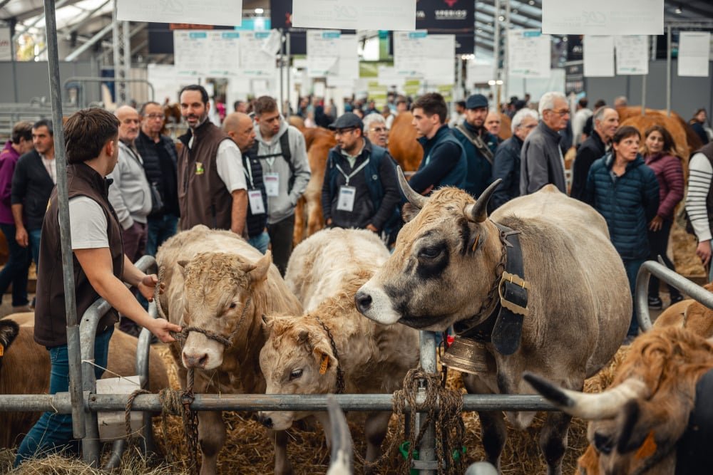 Élevage : un sommet marqué par les inquiétudes sanitaires et un record d’exposants