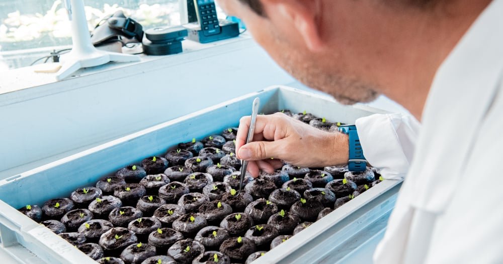 Réconcilier chercheurs et agriculteurs : une initiative inédite lancée en Occitanie