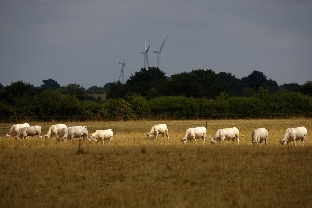 L’amère rentrée des agriculteurs français