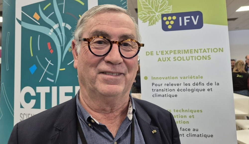 Recherche et innovation : des pistes de sortie de crise pour la filière viticole ?