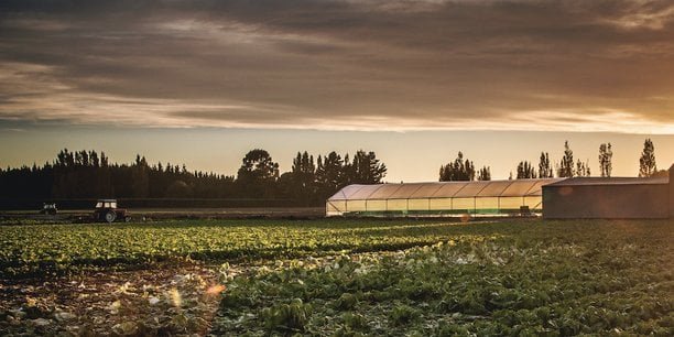 Dans le Sud, l’inquiétante disparition du foncier agricole