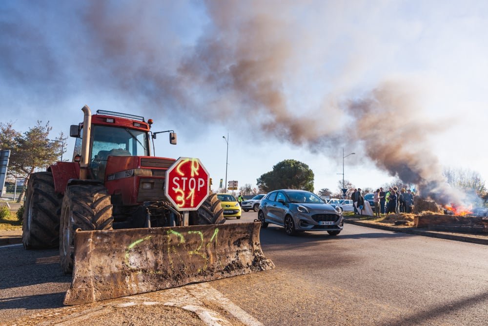 Dermatose bovine : l’exécutif sous pression face à la révolte contre l’abattage