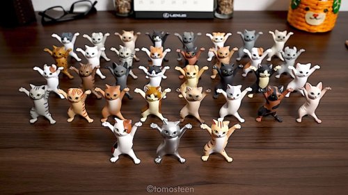 A Line of Cat Pen Holders Dance the ‘Ievan Polka’