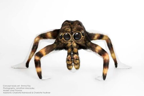 ‘Marvels of Nature’, A Series of Animal Body Paintings Created on Contortionist Models