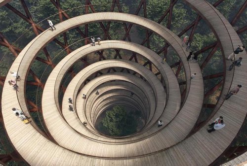 Camp Adventure Treetop Experience, A Gorgeous Circular Walkway That Rises Amongst the Trees