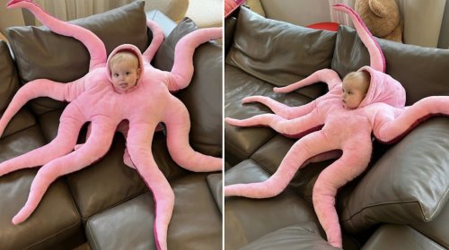 An Adorable Plush Octopus Baby Costume