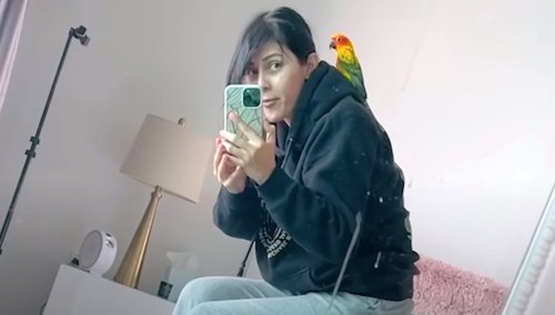 Wayward Parrot Randomly Flies Into Woman’s Apartment and Makes It His Permanent Home