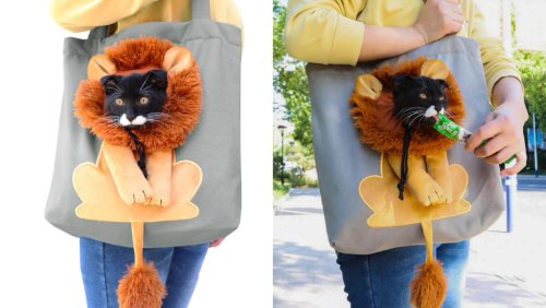 A clever tote bag that turns a cat into a lion flipboard