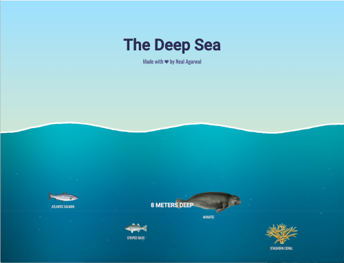 Fascinating Visual Deep Dive That Lets You Scroll Down to See What Lives at Various Depths of the Sea