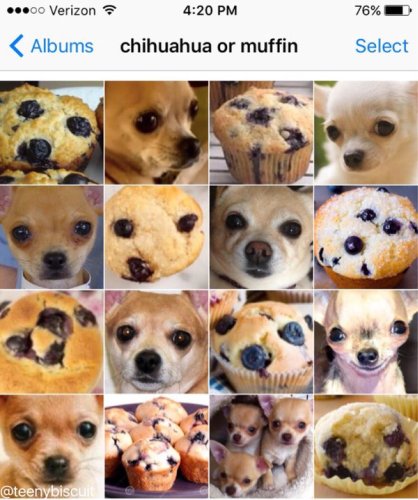 A Funny Photo Series That Compares Dogs to Food