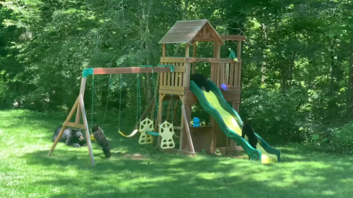 A Family of Bears Gleefully Enjoy Themselves on a Children’s Playground Set in a North Carolina Backyard