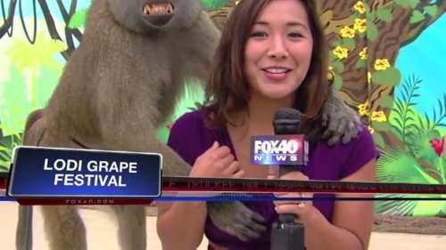 Compilation Video of the Best Local News Bloopers from 2013