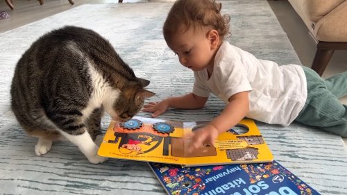 Baby Adorably Copies Everything the Cat Does