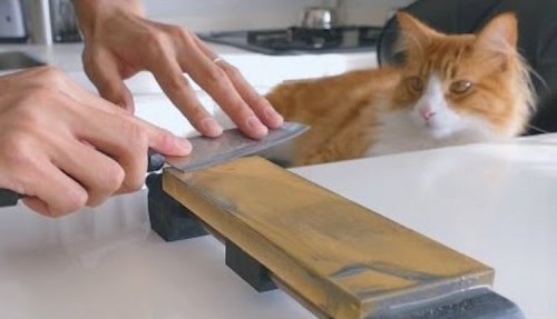 Chef Shows How a $1 Knife Can Be Sharpened to Rival More Expensive Knives