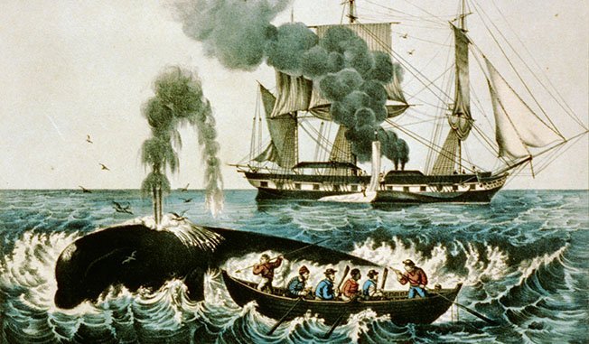 Histoire - Epoque contemporaine - cover