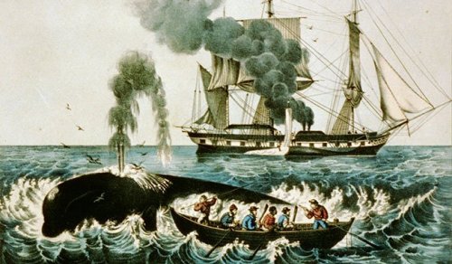 L'histoire macabre des naufragés du baleinier « Essex »
