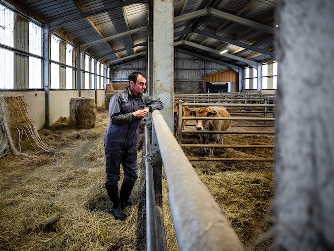 « Nous sommes un mal nécessaire » : en pleine crise de la dermatose nodulaire, un vétérinaire rural au cœur de la tourmente