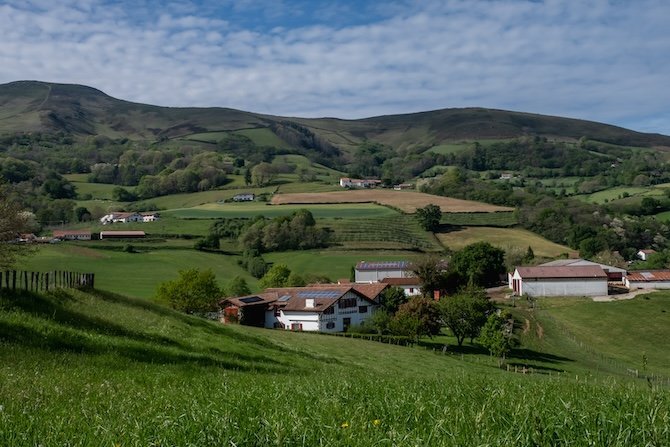 Au Pays basque, la chambre d’agriculture alternative fête ses 20 ans