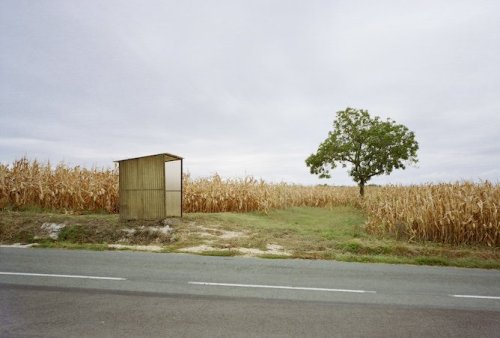 Écologie : y a-t-il une fracture entre villes et campagnes face à la pollution ?