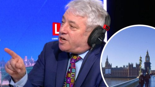 'Calling bullying inquiry a kangaroo court would be an insult to kangaroos', John Bercow says