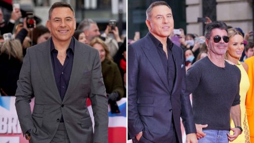 David Walliams sues Britain's Got Talent bosses after leaving show in aftermath of X-rated remarks about contestants
