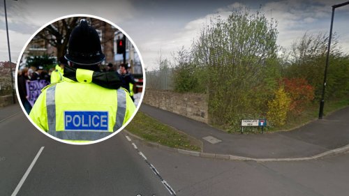 Girl, 13, 'raped while walking in woodland', as police arrest boy, 16, over attack