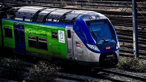VIDÉO - "Tous les jours, c’est le bordel" : les trains régionaux, une galère quotidienne pour les usagers de la SNCF